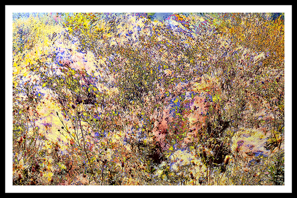 Digital Photography