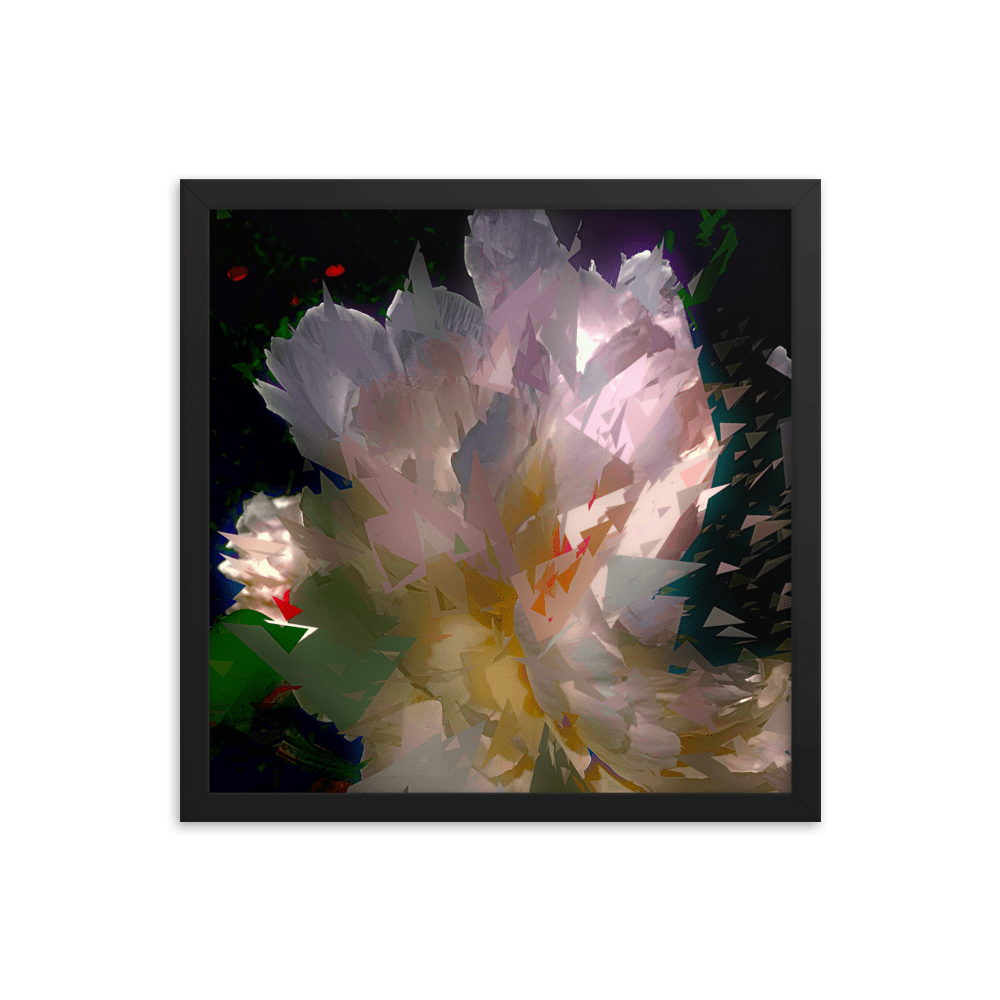 White peony on a dark background.