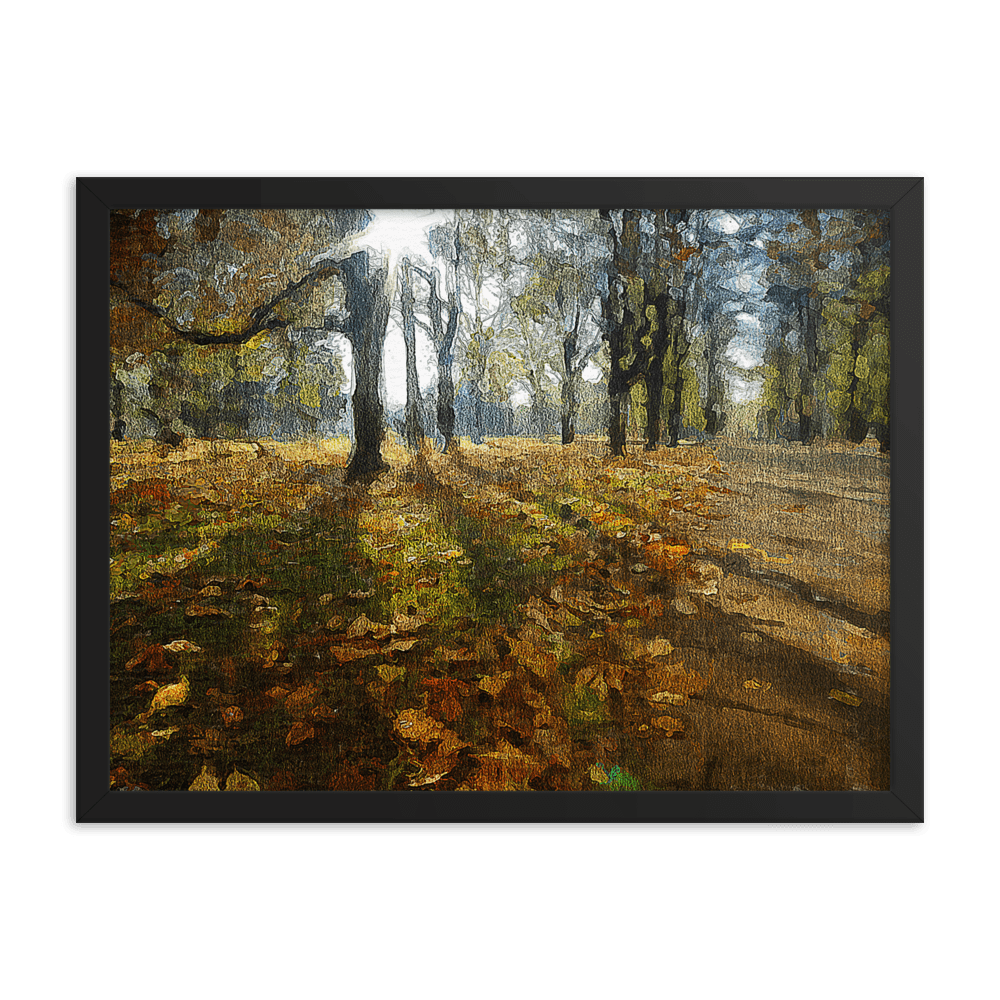 A sunny fall day in the park.