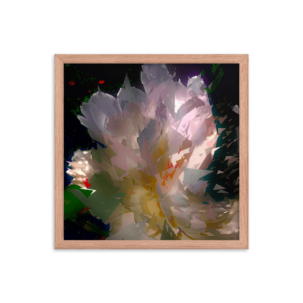 White peony on a dark background.