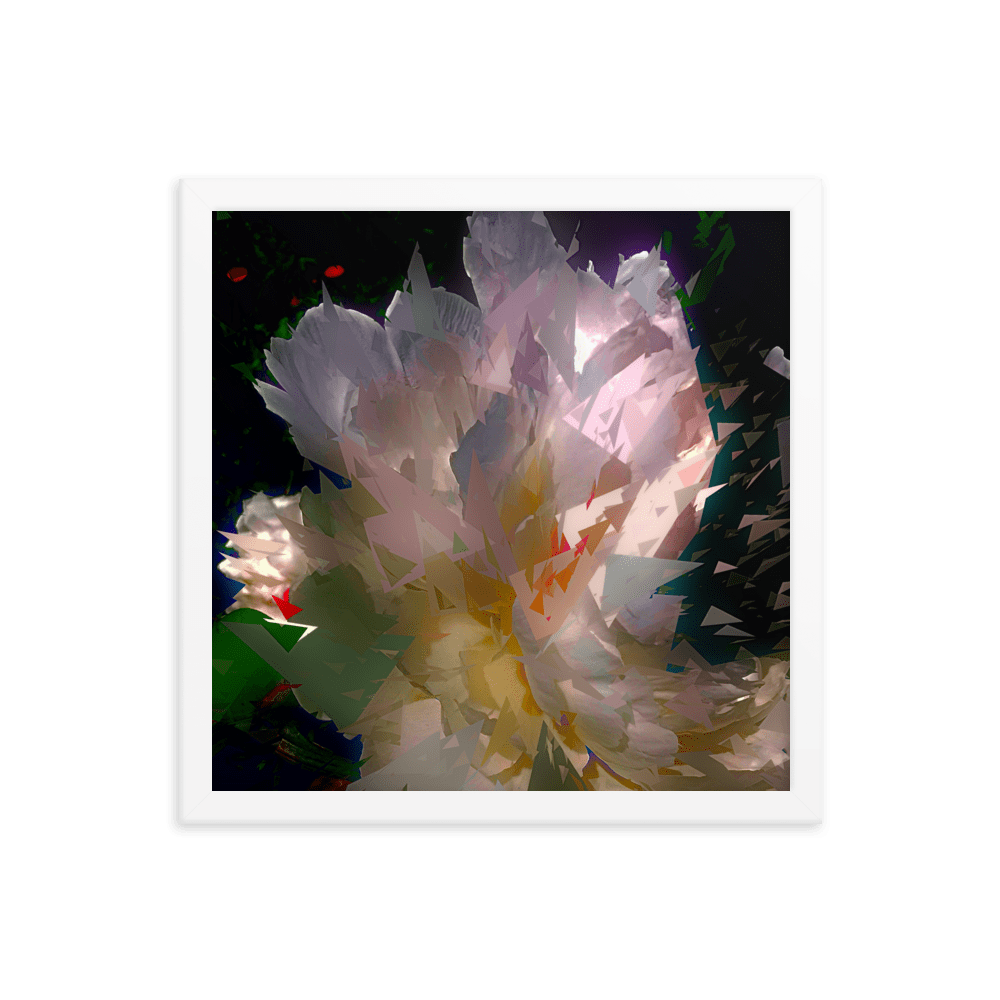 White peony on a dark background.