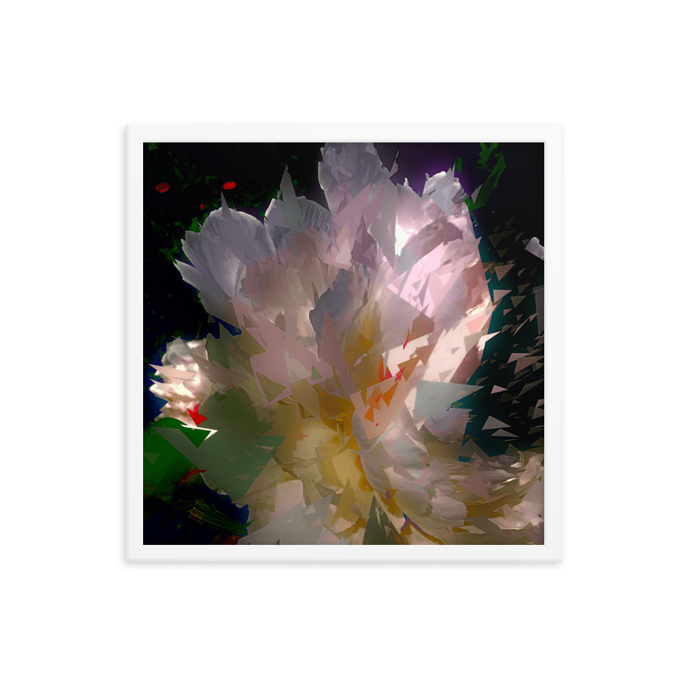 White peony on a dark background.