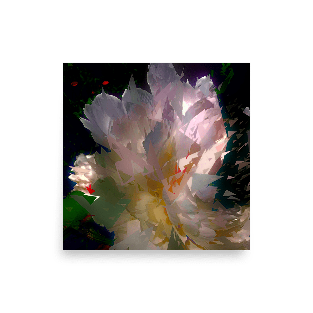 White peony on a dark background.