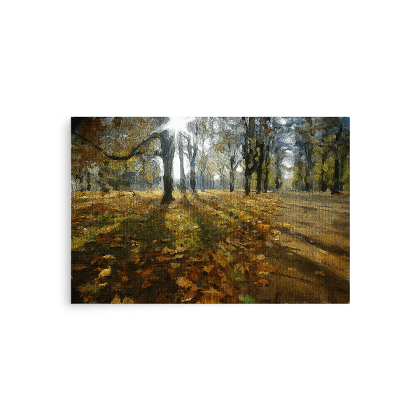 A sunny fall day in the park.