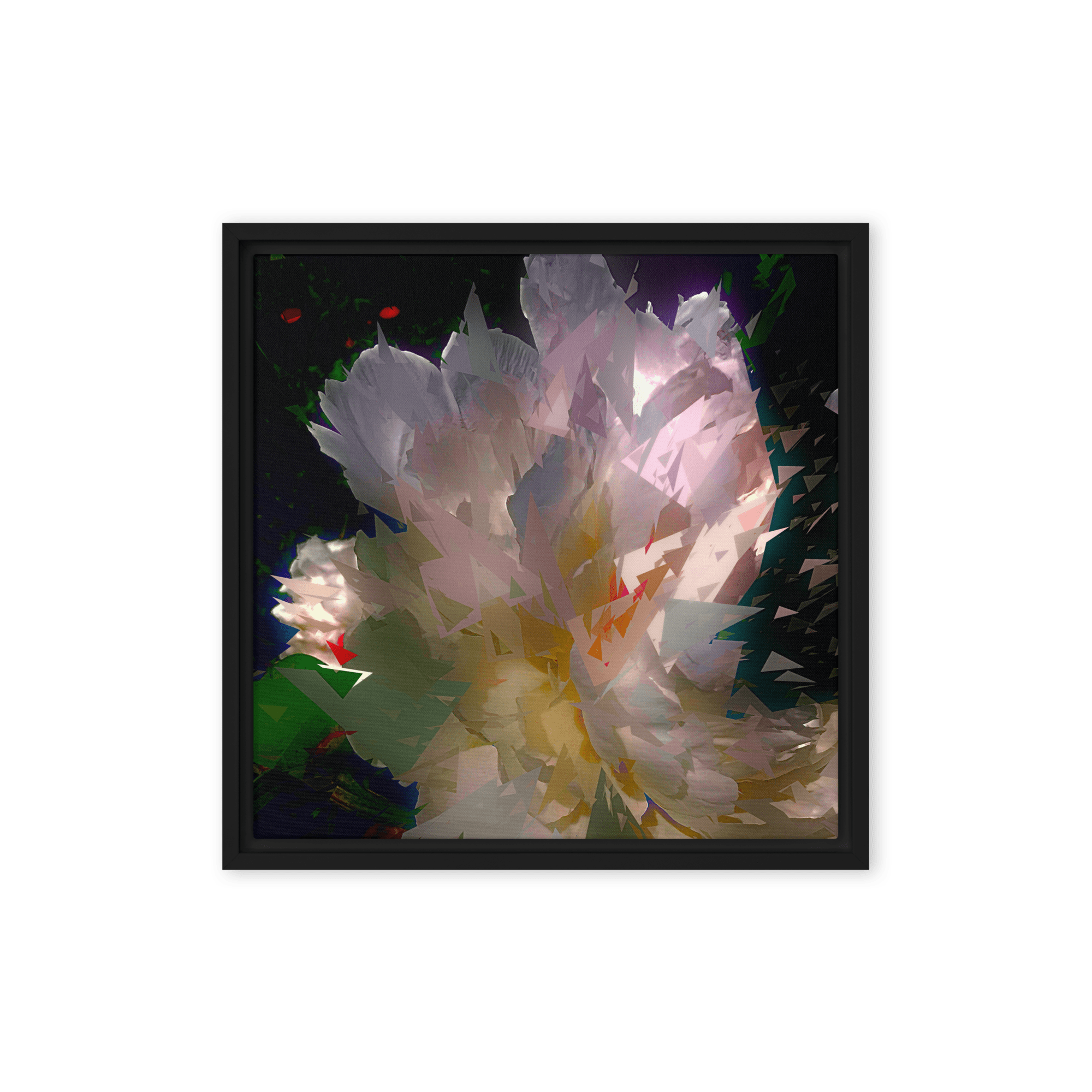 White peony on a dark background.