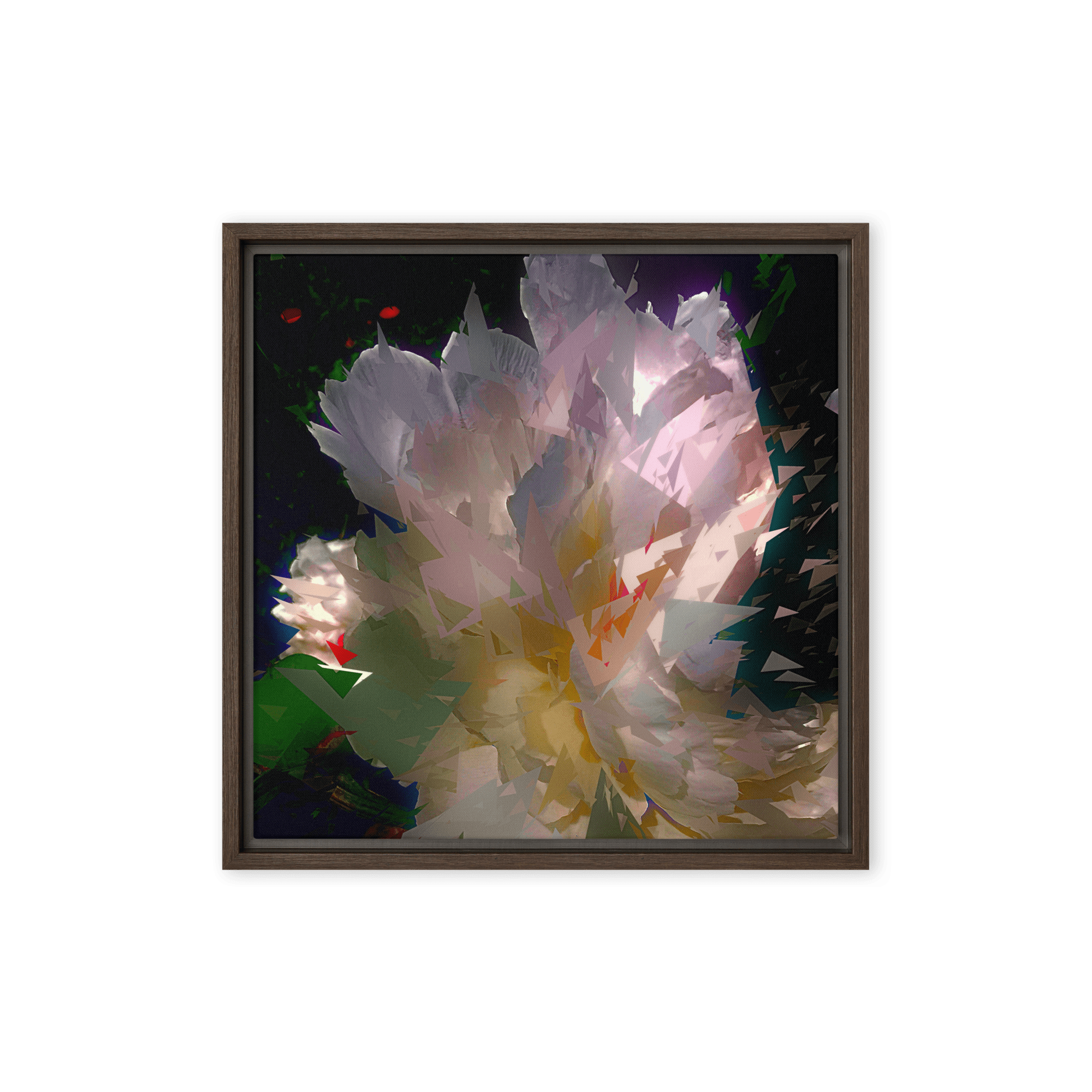 White peony on a dark background.