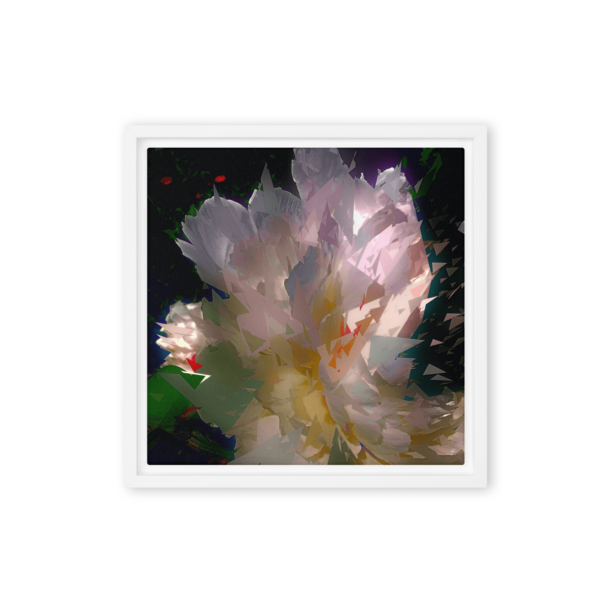 White peony on a dark background.