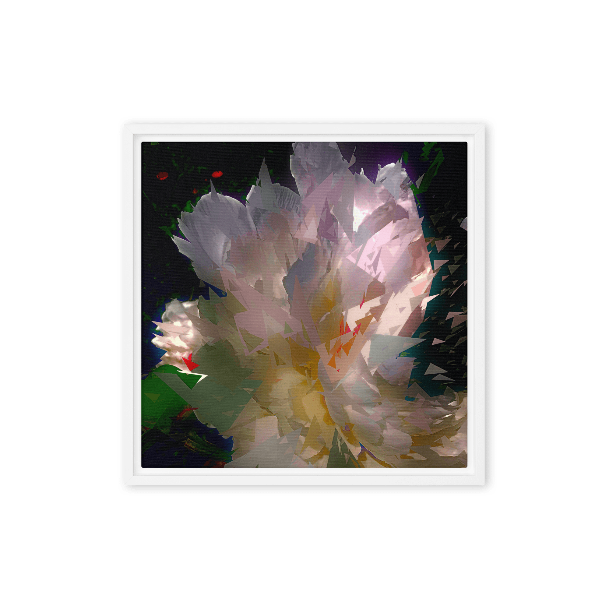 White peony on a dark background.