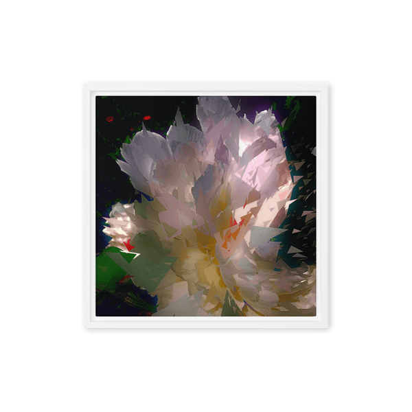 White peony on a dark background.