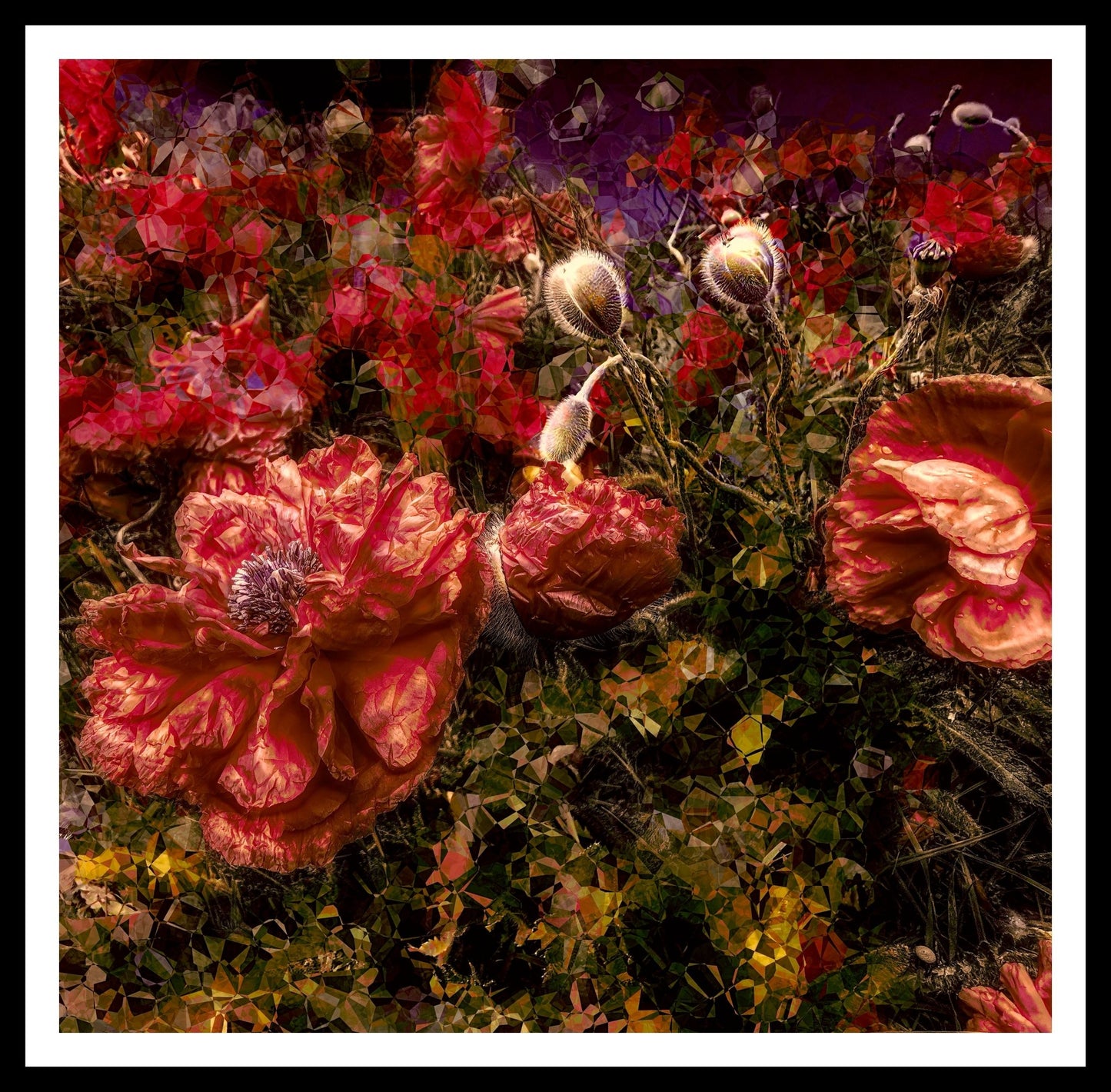 Poppies Before Sunset romantic floral poppy flowers wall art- Barulins.shop